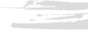 bg_img02